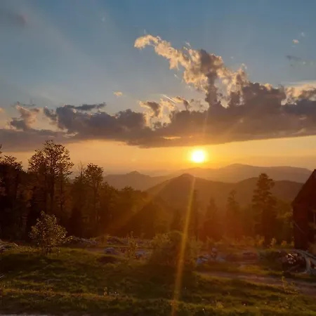 1400 Tara * 모크라 고라