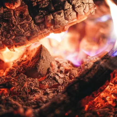 1400 Tara 아파트 모크라 고라