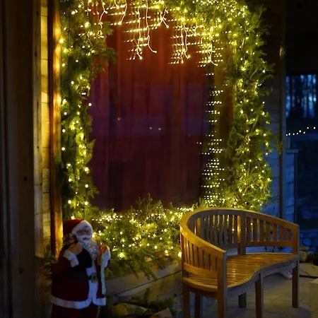 1400 Tara 모크라 고라