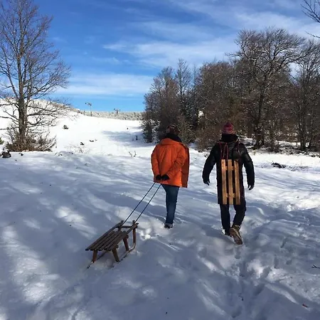 1400 Tara 아파트 모크라 고라