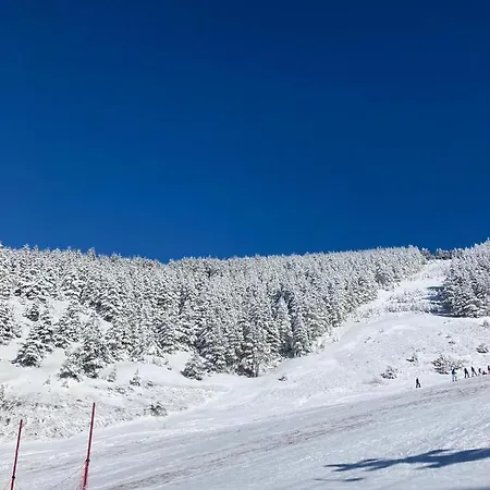 1400 Tara 아파트 모크라 고라