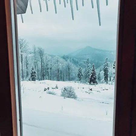 1400 Tara 모크라 고라