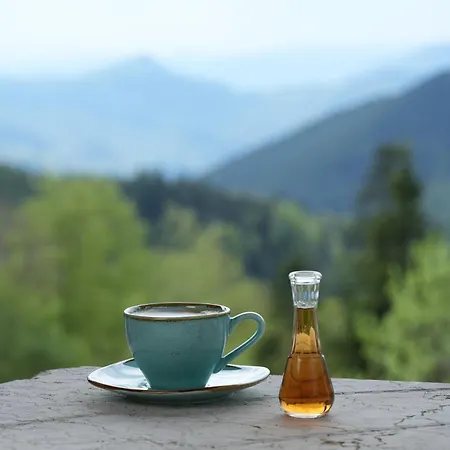 1400 Tara * 모크라 고라